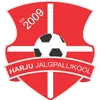 哈留足球学院女足