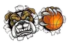 斗牛犬U21